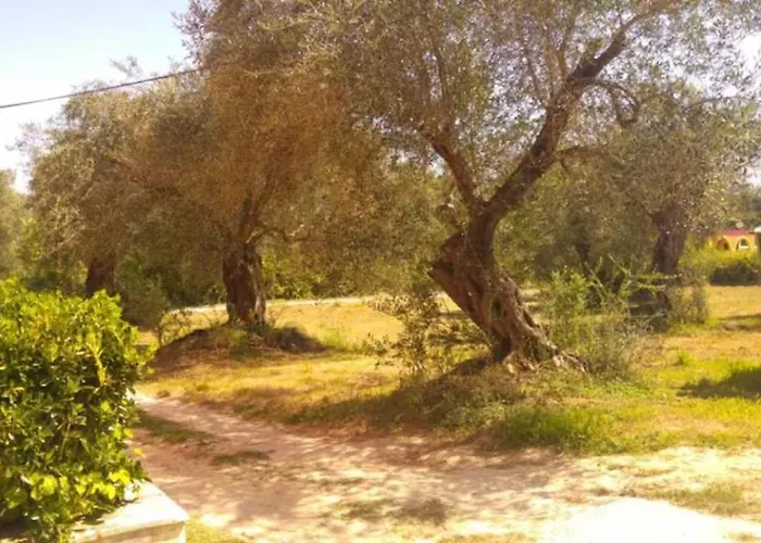 Geramia