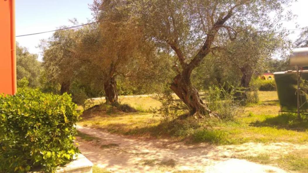 Geramia Appartement